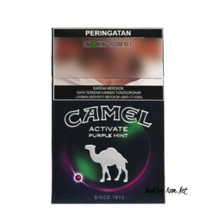 Camel Purple 01